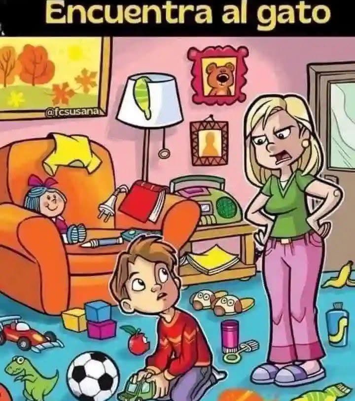 Banda VIP tweet media