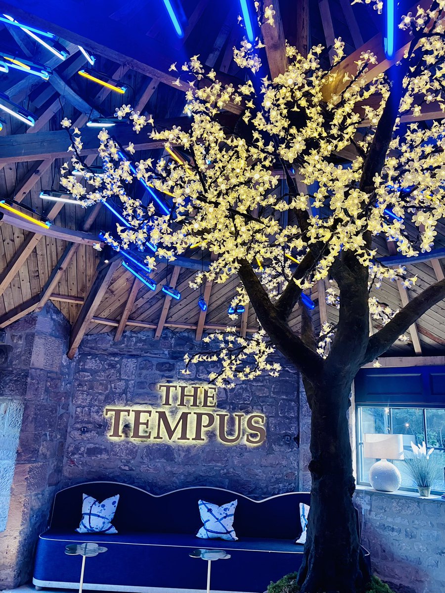 helendownie's tweet image. This place 💫🥹💫 #Daytwo ❤️