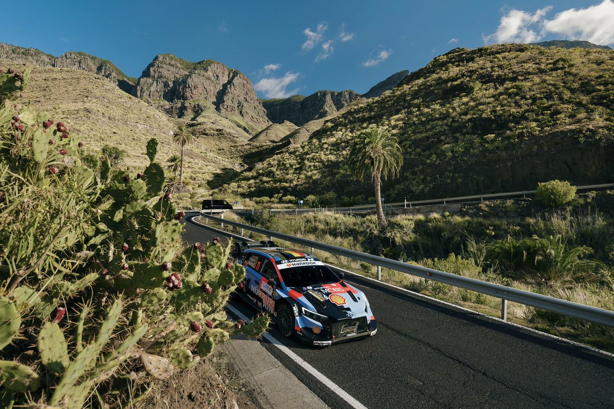 Thierry Neuville tweet media