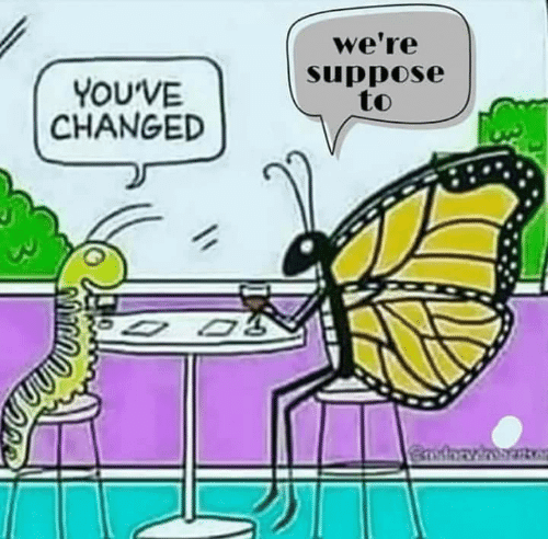 Moth3rmomo's tweet photo. @suffocatevoodoo @pwiscila https://t.co/F7nkPe78ix