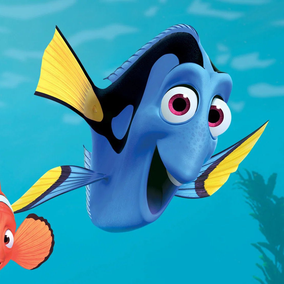 Pop Tingz tweet media