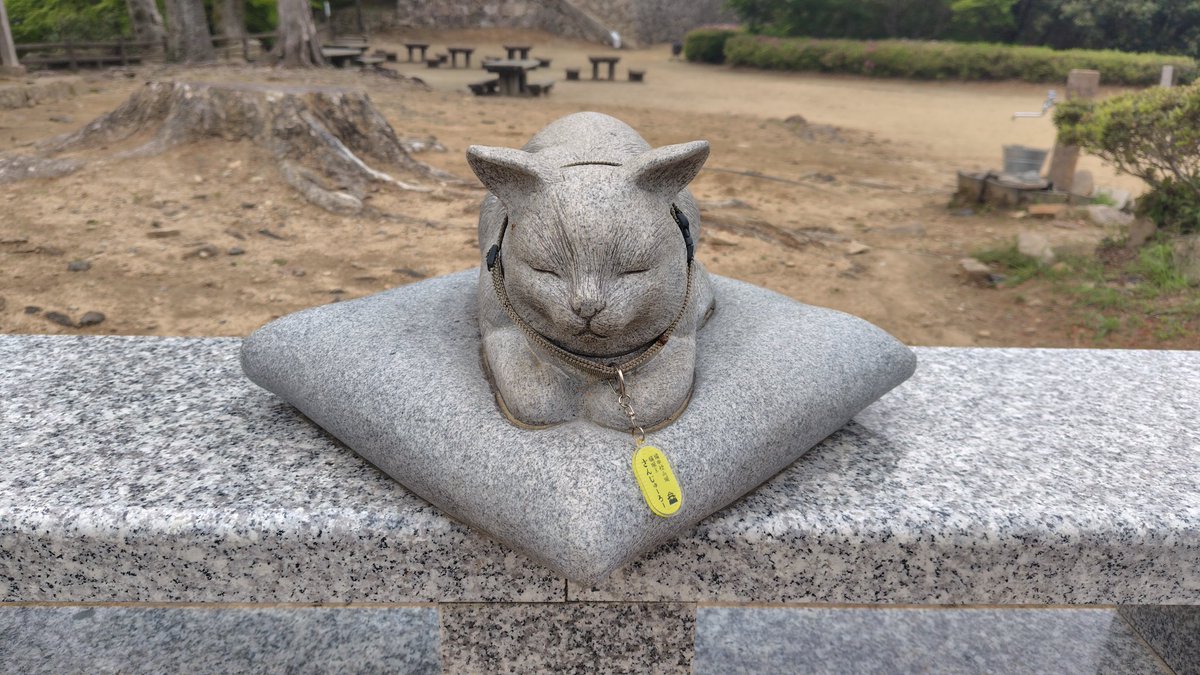 安藤 雅生“さすらいの格闘志士” tweet media