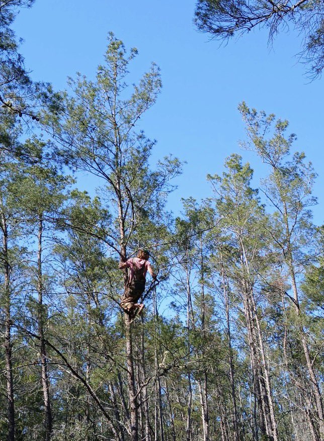 DK🇺🇸🦅🇺🇸 tweet media