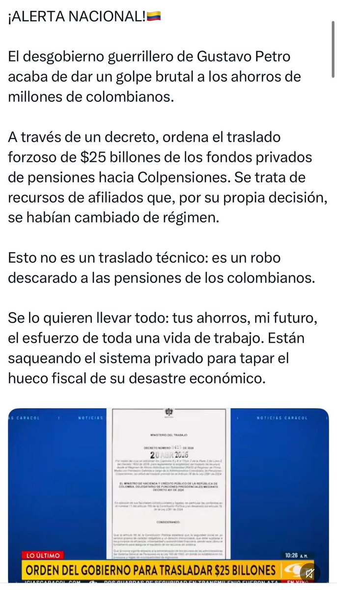 Colibrí tweet media