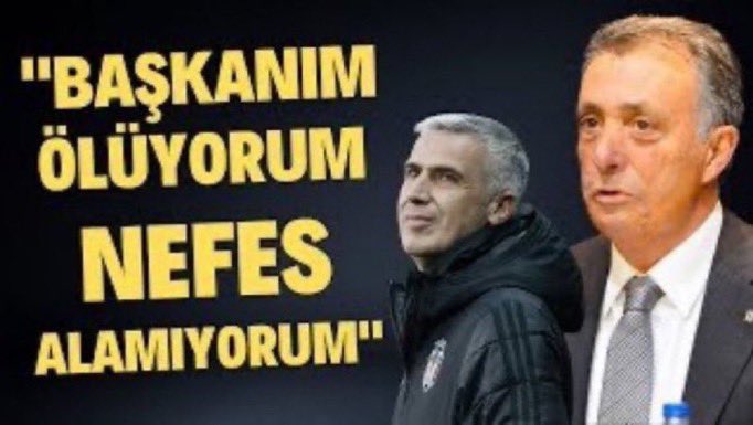 ozan⍟ tweet media