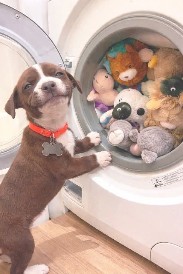 B ☁️ tweet media