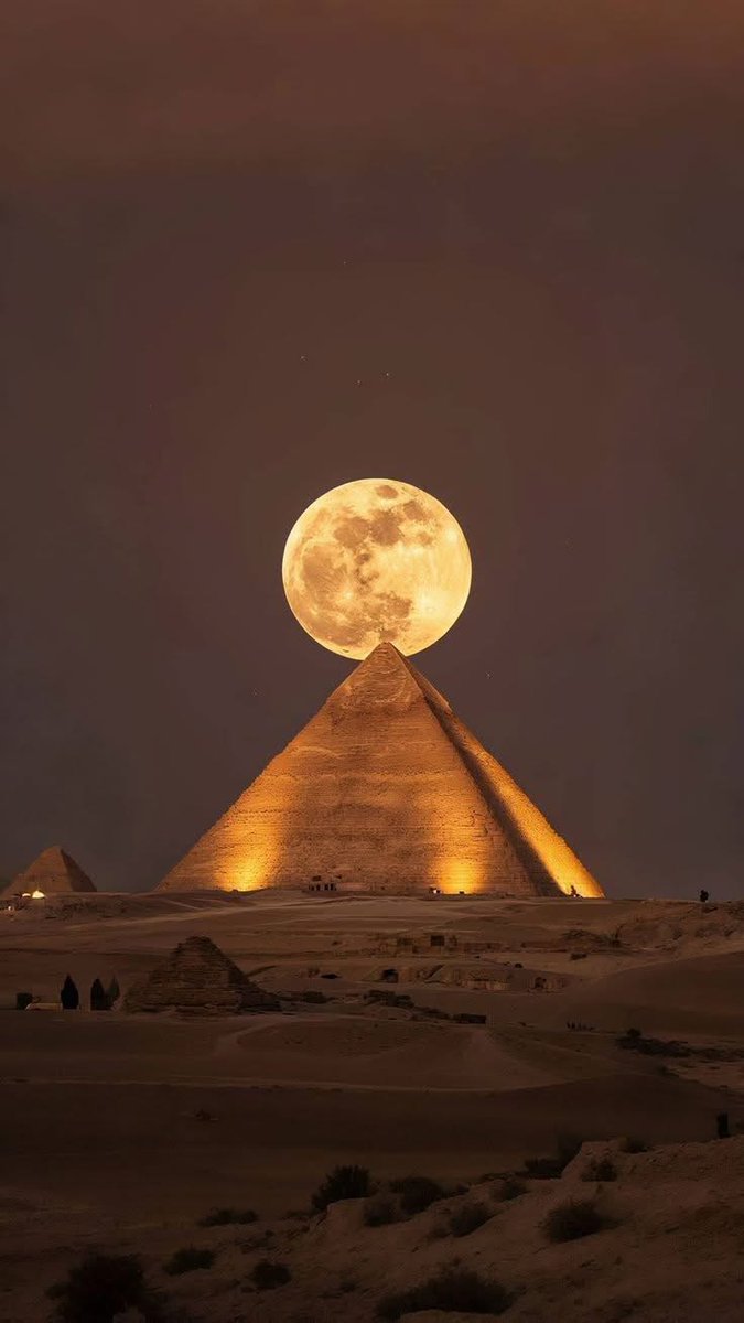 Nature Pics tweet media