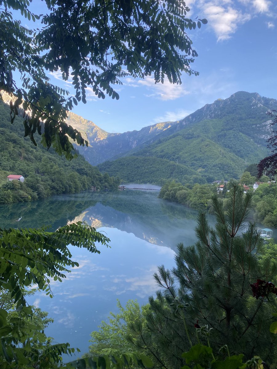 أبو لميس tweet media