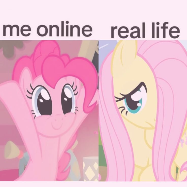 ˚₊‧ 𝓟𝓾𝓼𝓱𝓮𝓮𝓷𝓝𝓪𝓷𝓪 ‧₊˚ tweet media