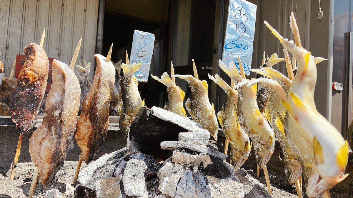 sakanabandai's tweet photo. 今日は浜焼き鯉のぼり日和だ☀️
🎏┠('◎'зз)彡 https://t.co/engjvdvI27
