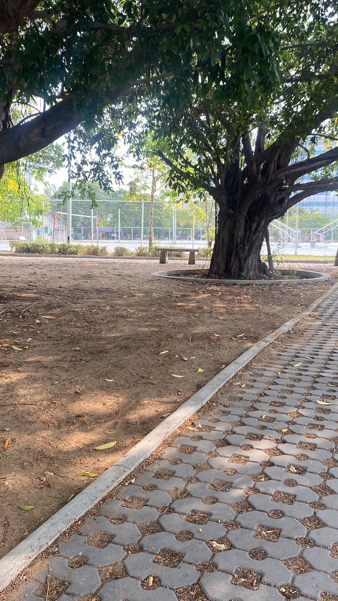 Sommiler tweet media