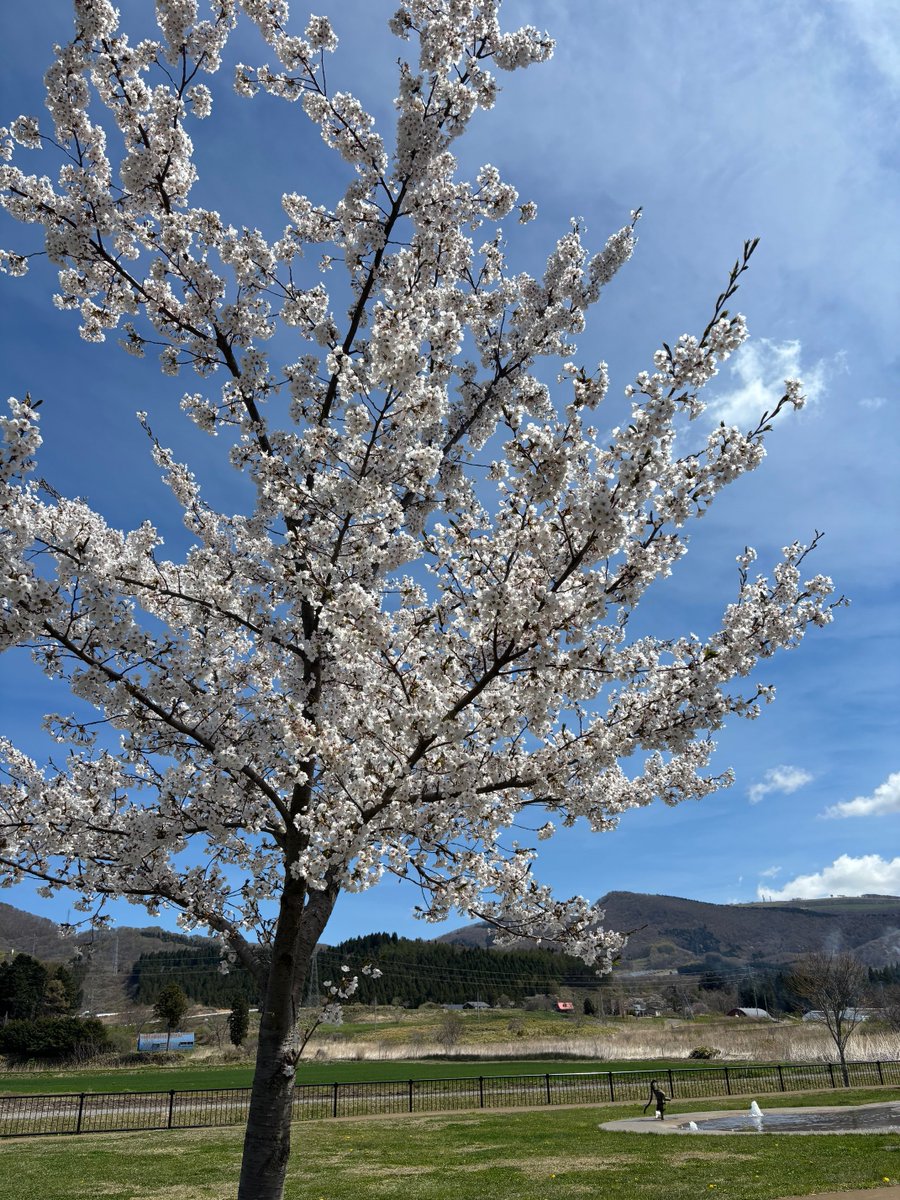 道の駅なないろ・ななえ tweet media