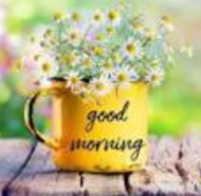 Srishty726452's tweet image. #GM