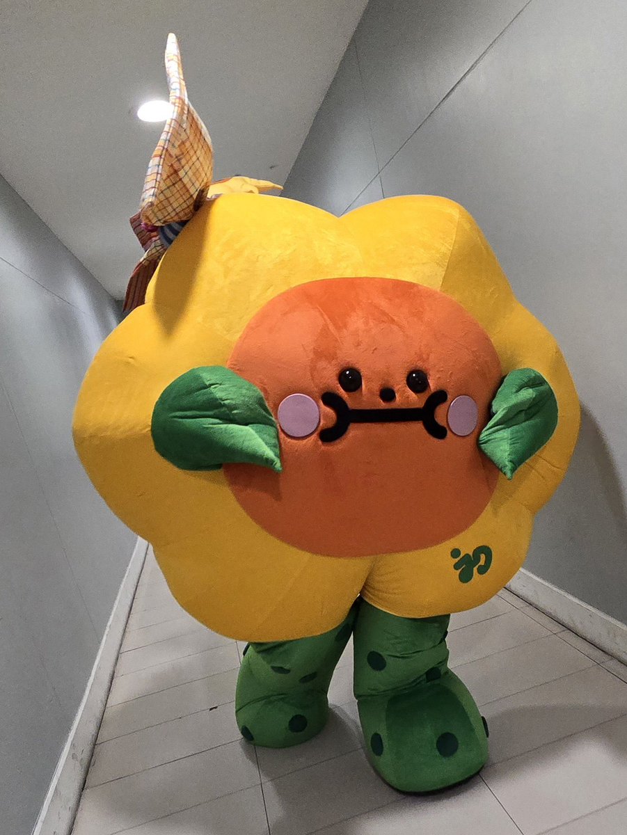 lJdfan_✨🎀🥑🌻 HTSMC {🐶🐻‍❄️} tweet media