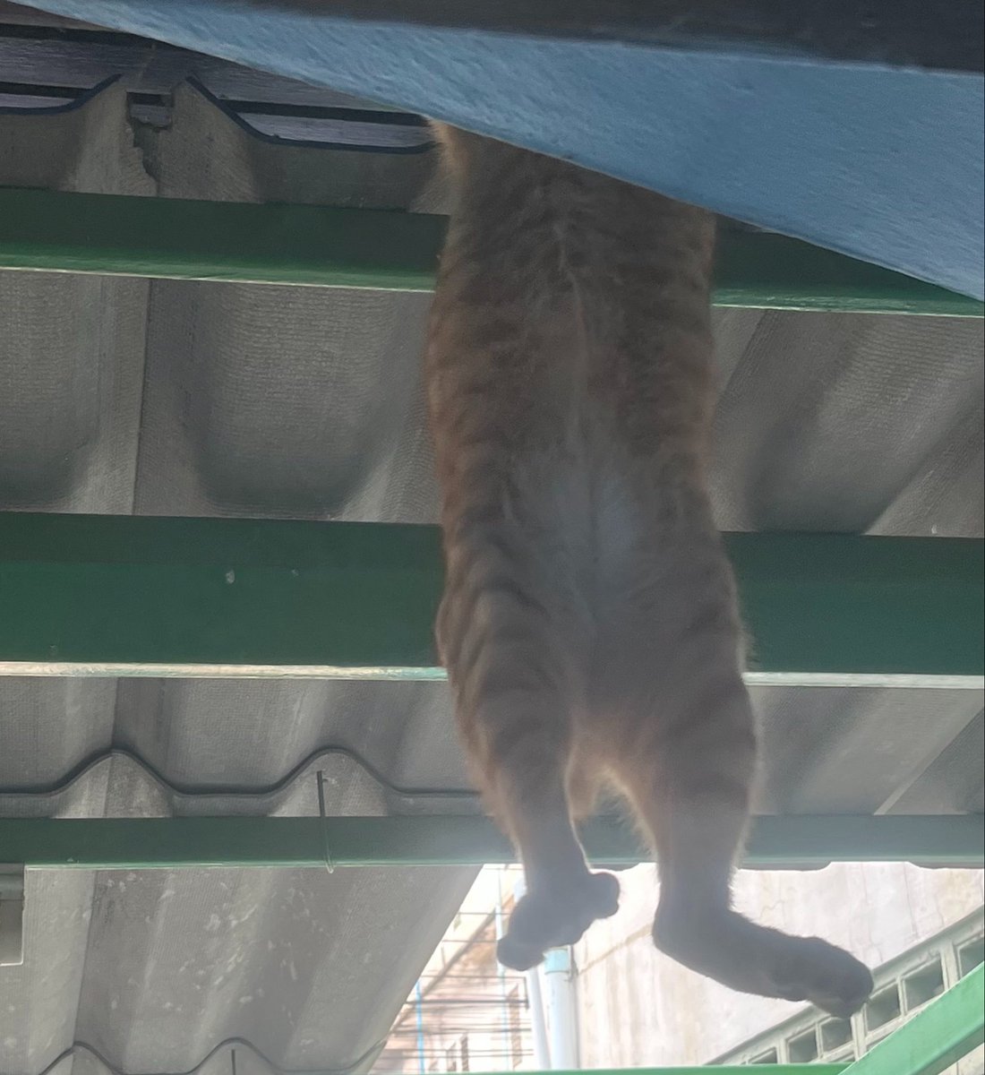 คุณแคลร์ / KhunClaire tweet media