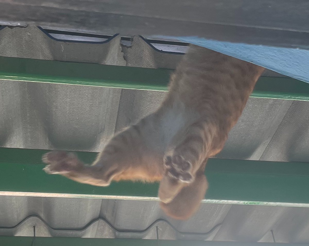 คุณแคลร์ / KhunClaire tweet media