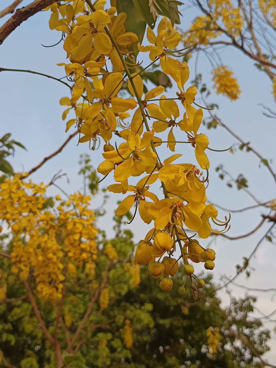 Nilesh Raichura 🦋 tweet media