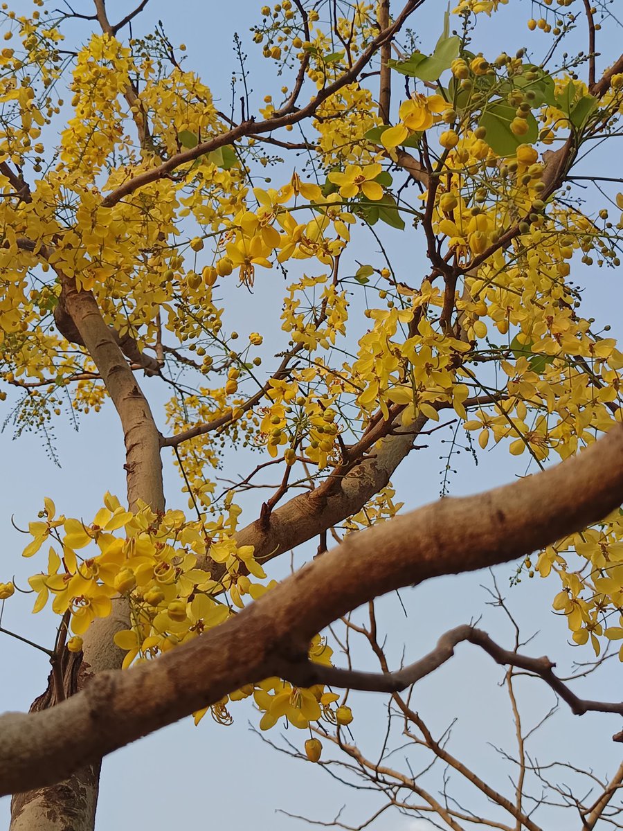 Nilesh Raichura 🦋 tweet media