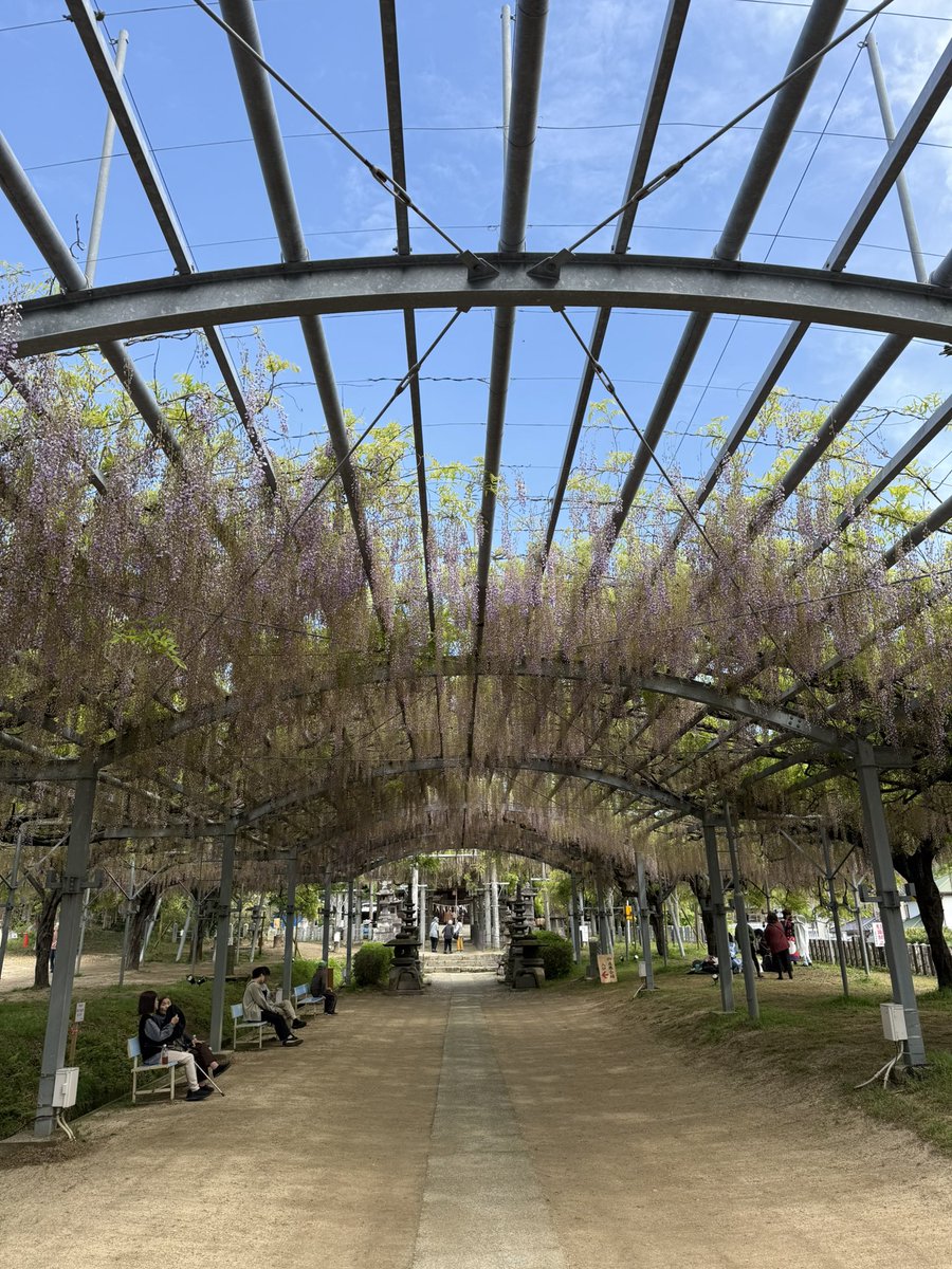 Lily Aily tweet media