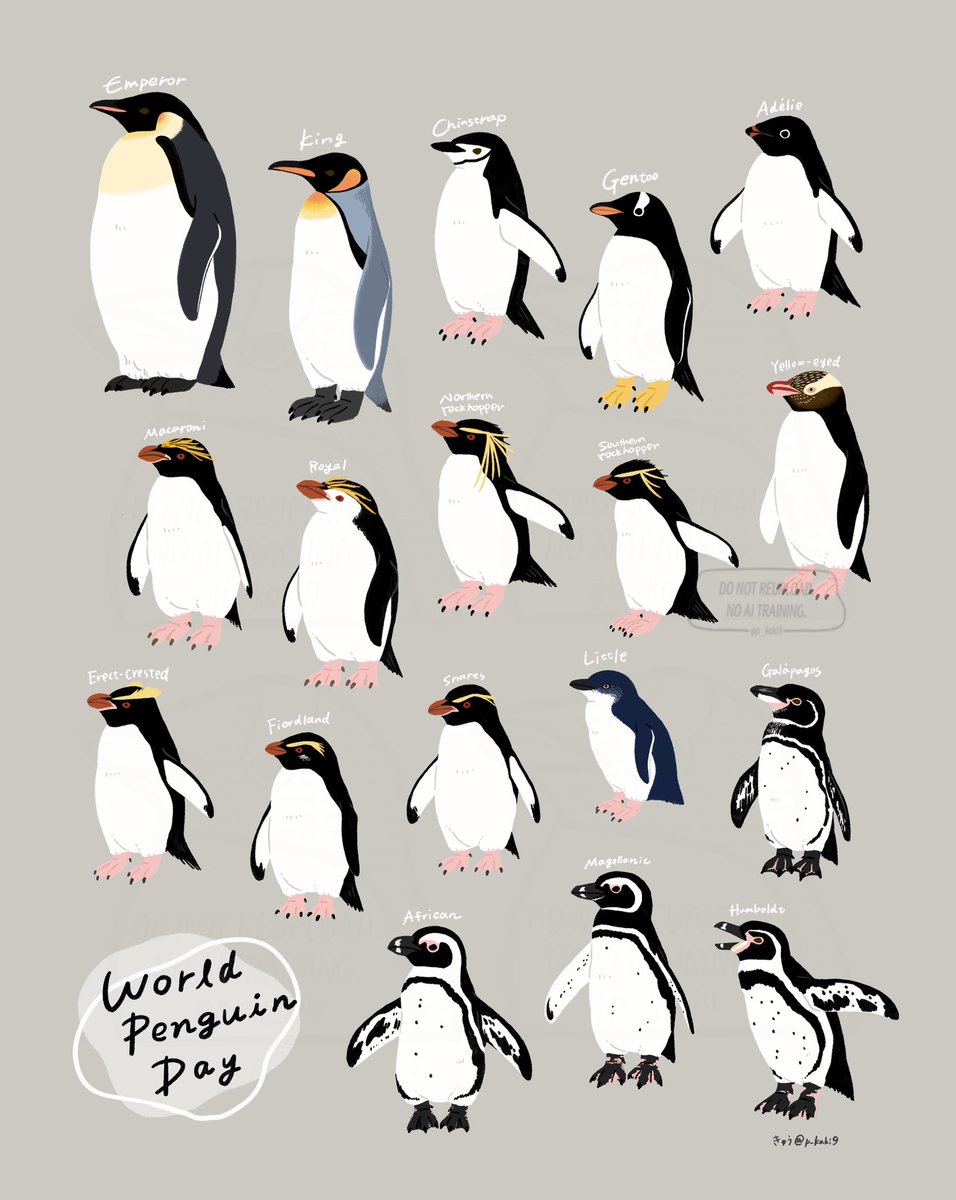 きゅう🐧イラストレーター tweet media