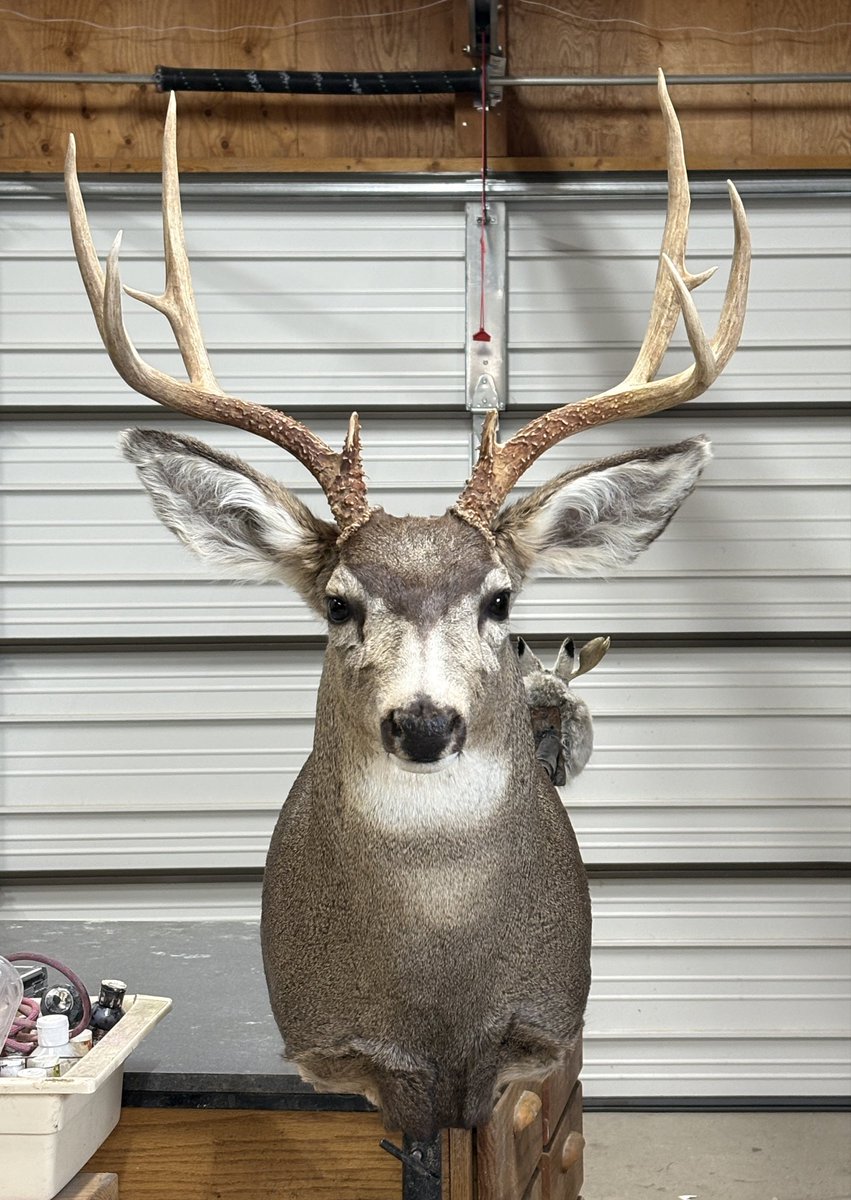 Lynn Gaitz tweet media