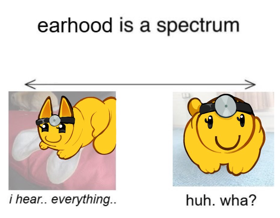 Joey 🍀 tweet media