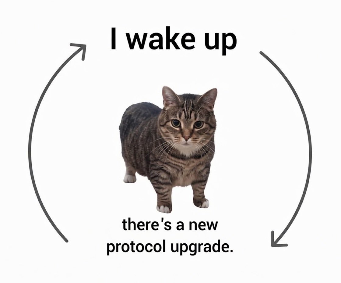 Liberty Swap ⚡️ Bridge2Pulse™️ Zero-Fee DEX tweet media