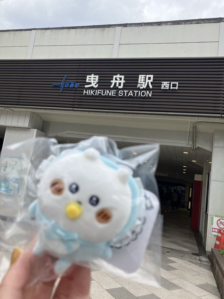 ましろ🍭 tweet media