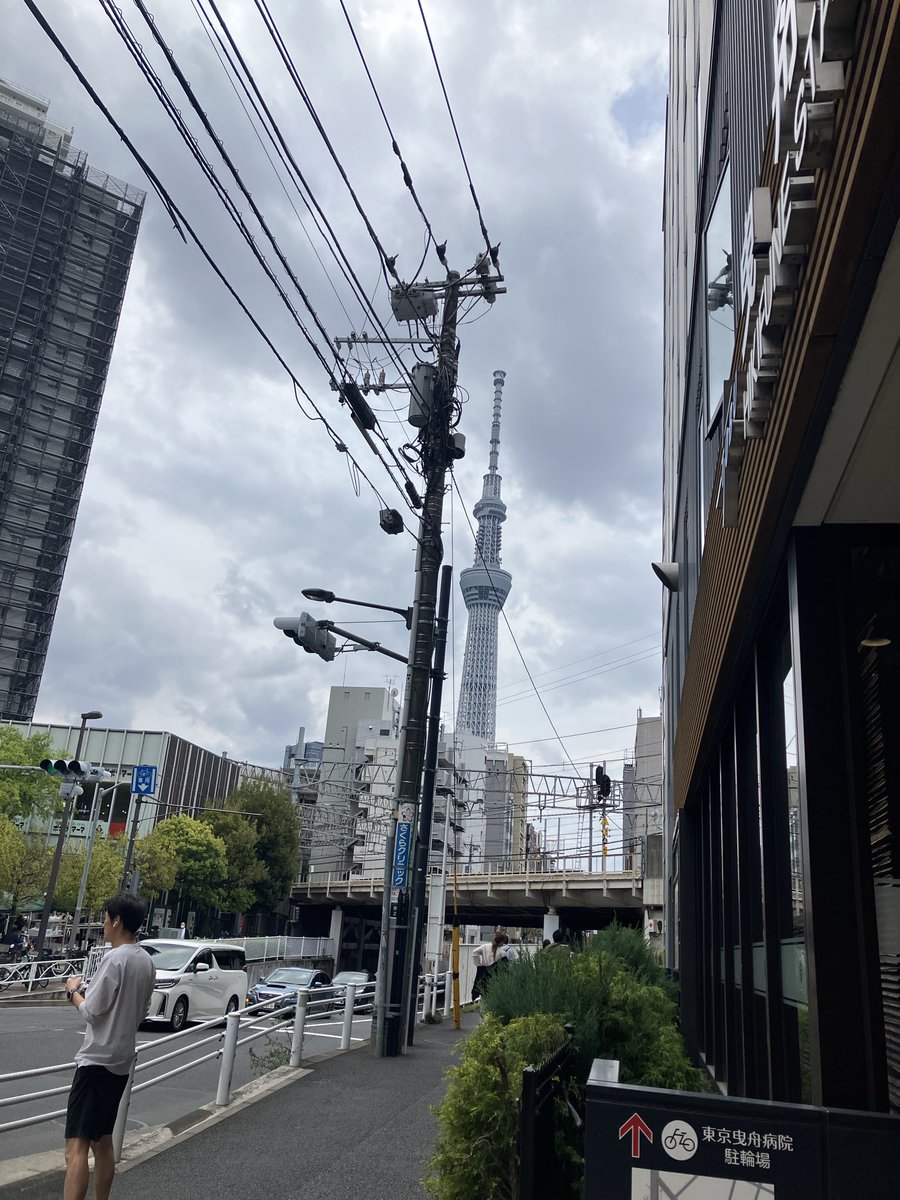 ましろ🍭 tweet media