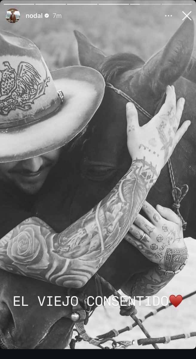 Que lindo cris y su caballo, esos abrazos que sanan ❤️🫶