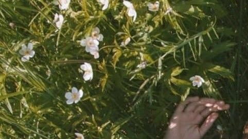 150歳まで生きてやる tweet media