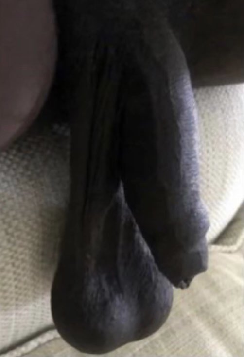 — 𝐇𝐢𝐥𝐢𝐜𝐡𝐮𝐫𝐥 tweet media