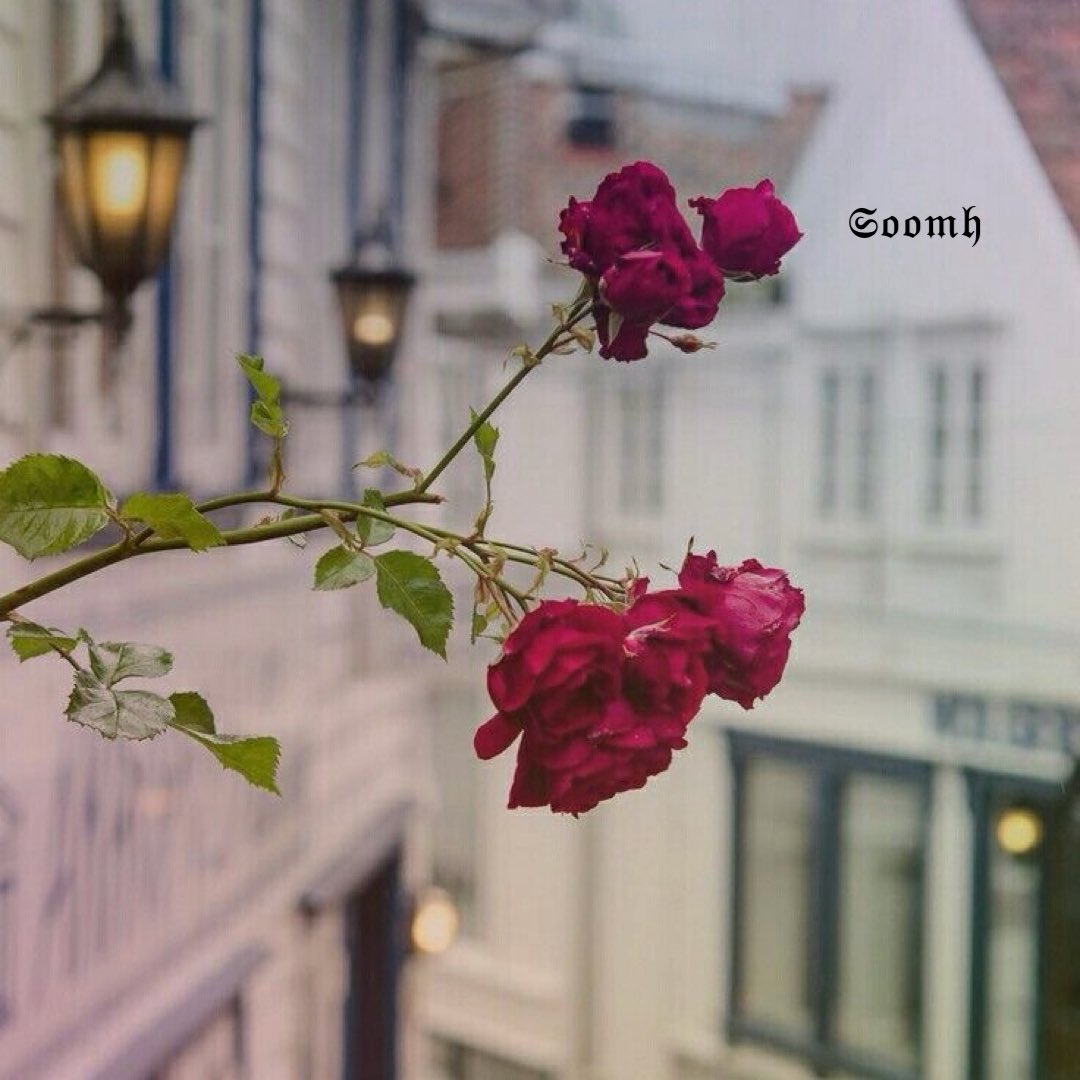 ☕︎𓂃 ִֶָ𐀔ســـومـه tweet media