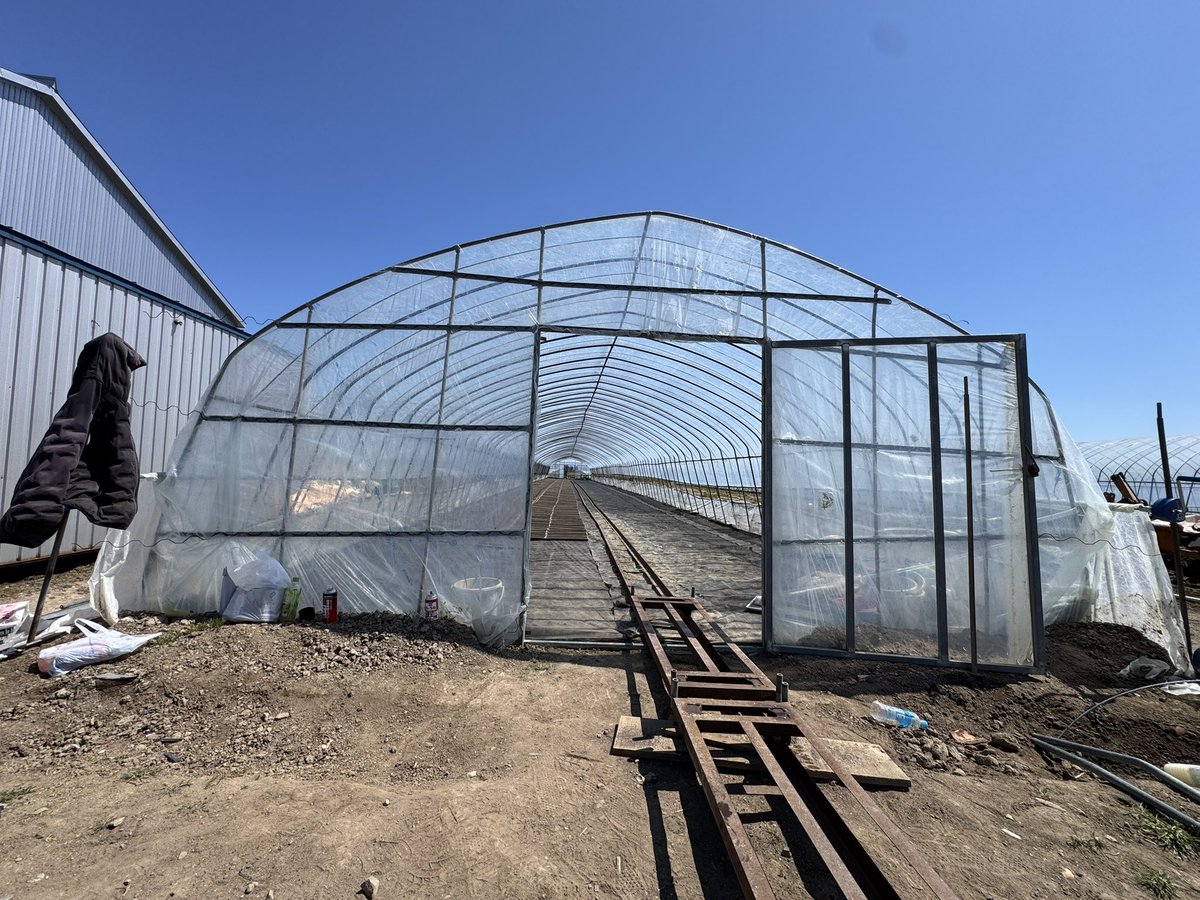 miki.h#カレー部 tweet media