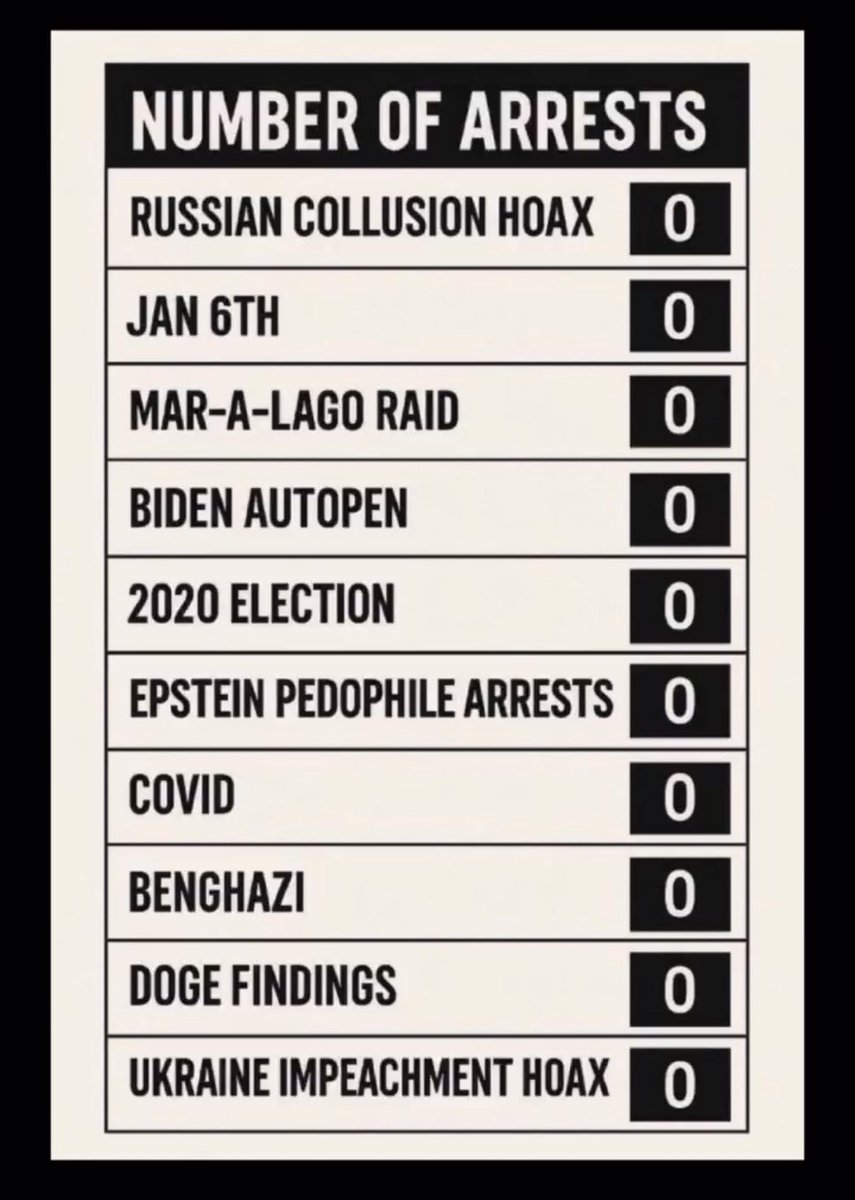 Shrodingersdog🐭 tweet media