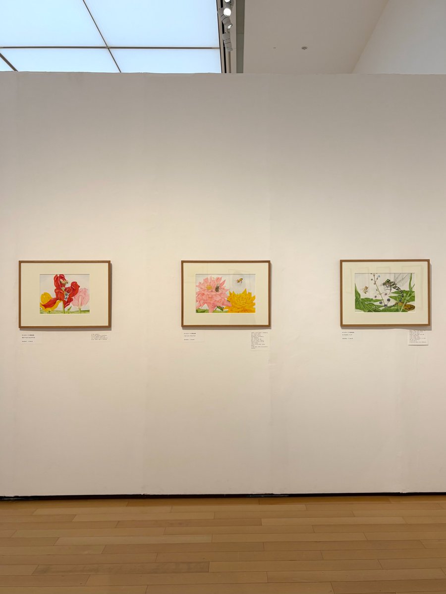 群馬県立館林美術館 tweet media