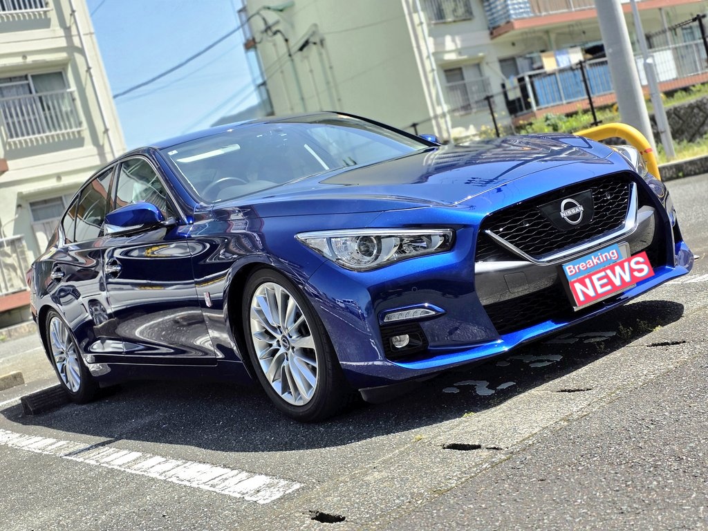 ﾗｲｽｺﾔｰｼｬ tweet media