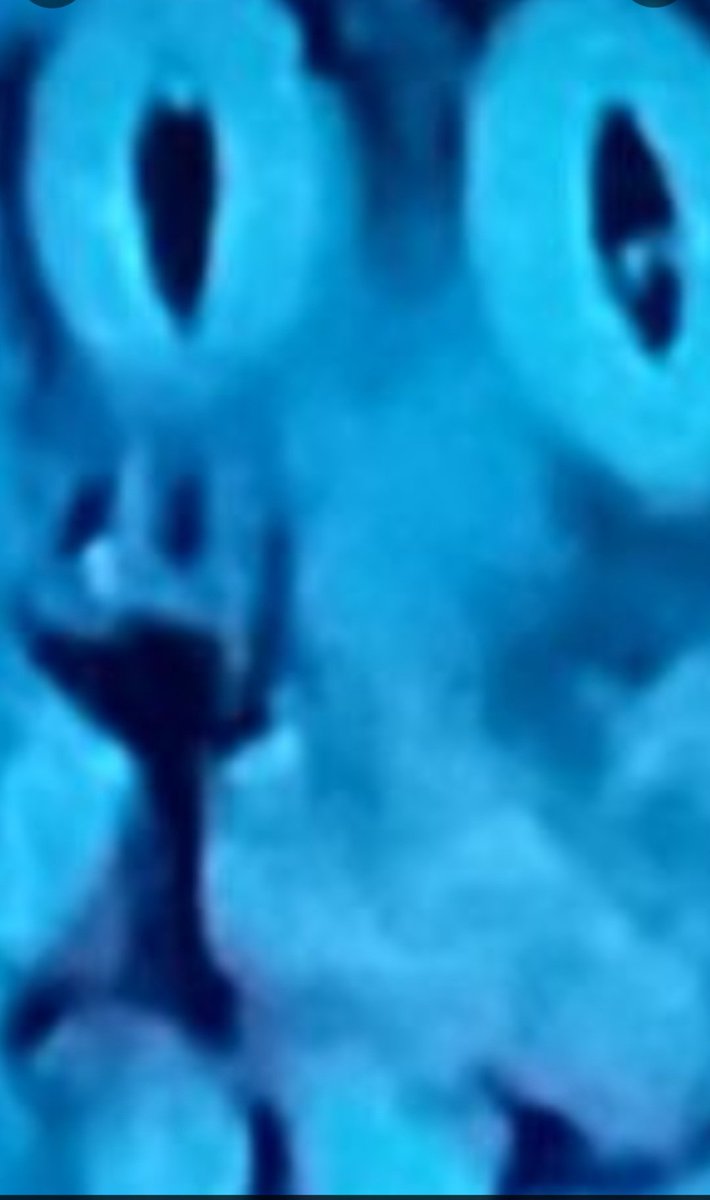 Toni Gnosis Official tweet media