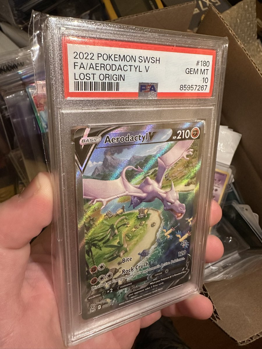 cats collectibles tcg tweet media