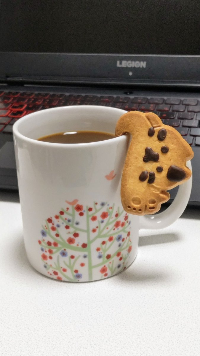 エルソラ tweet media