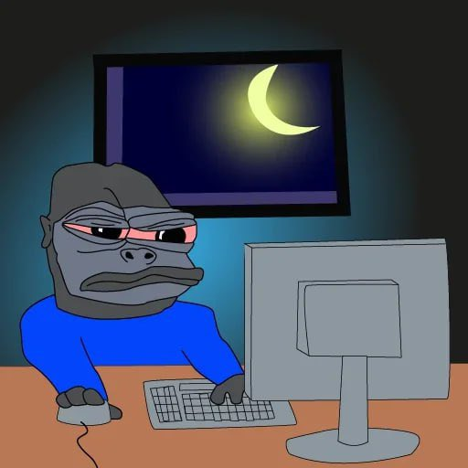 $Aped CTO tweet media