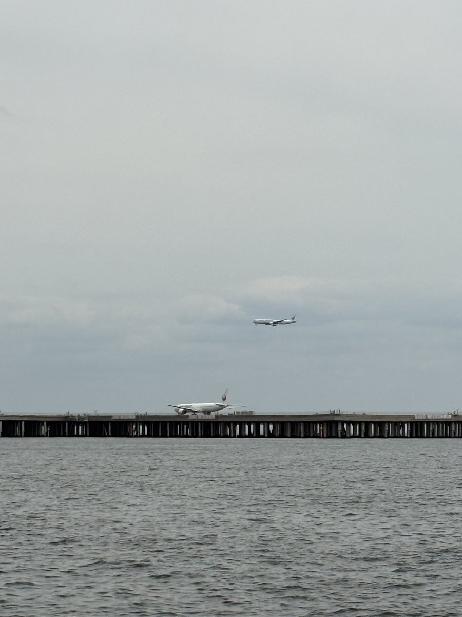 ポンション tweet media