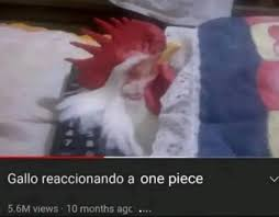 Párlon1640 tweet media