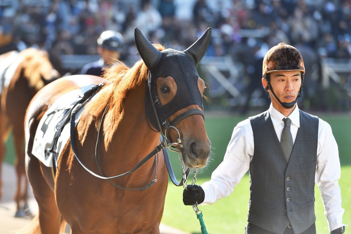 競馬ラボ tweet media