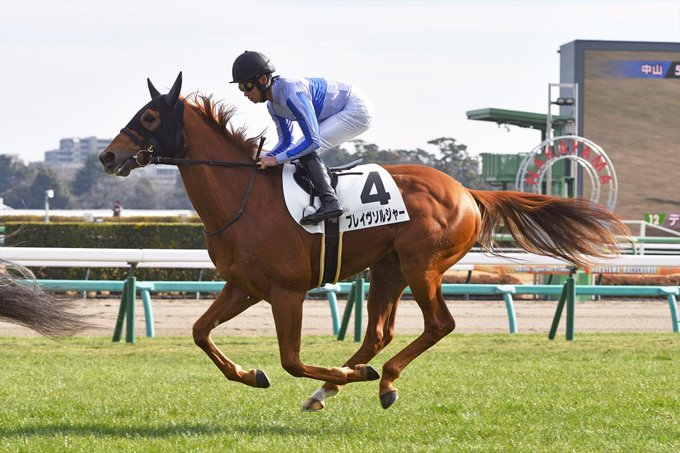 競馬ラボ tweet media