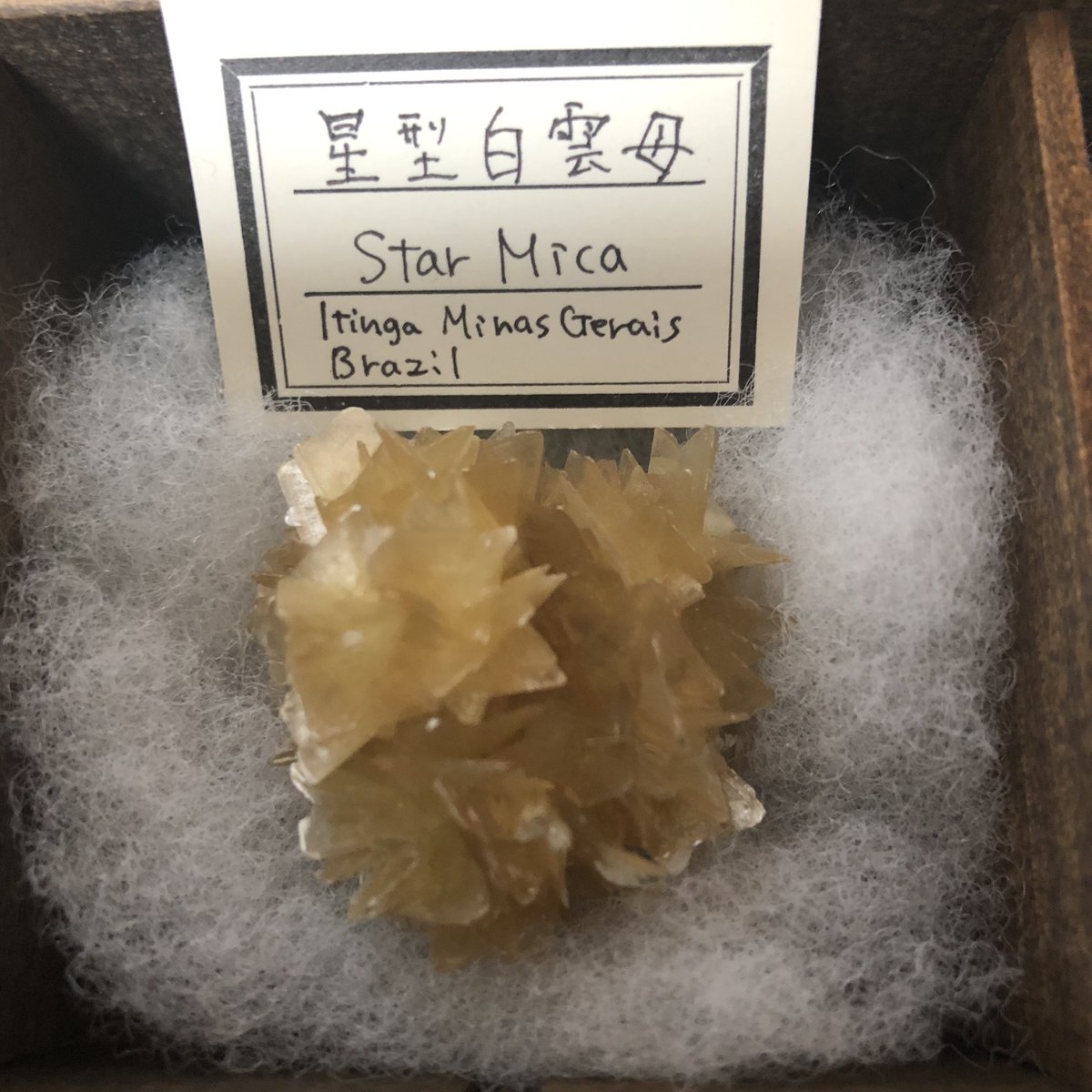 👁️‍🗨️❄️.*˚ tweet media