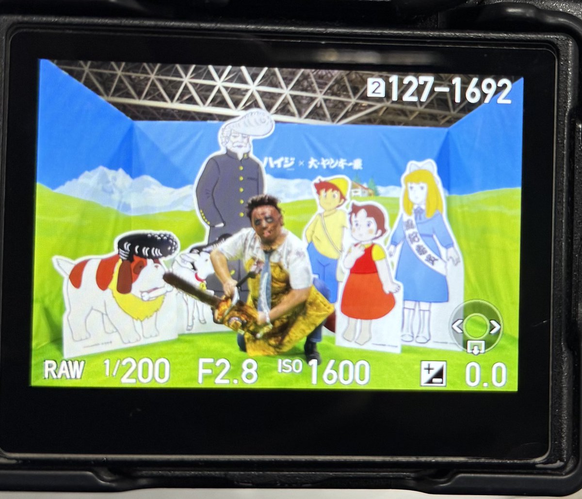 茶トラ白（通称:チャト）📸 JOJO永遠沼 tweet media