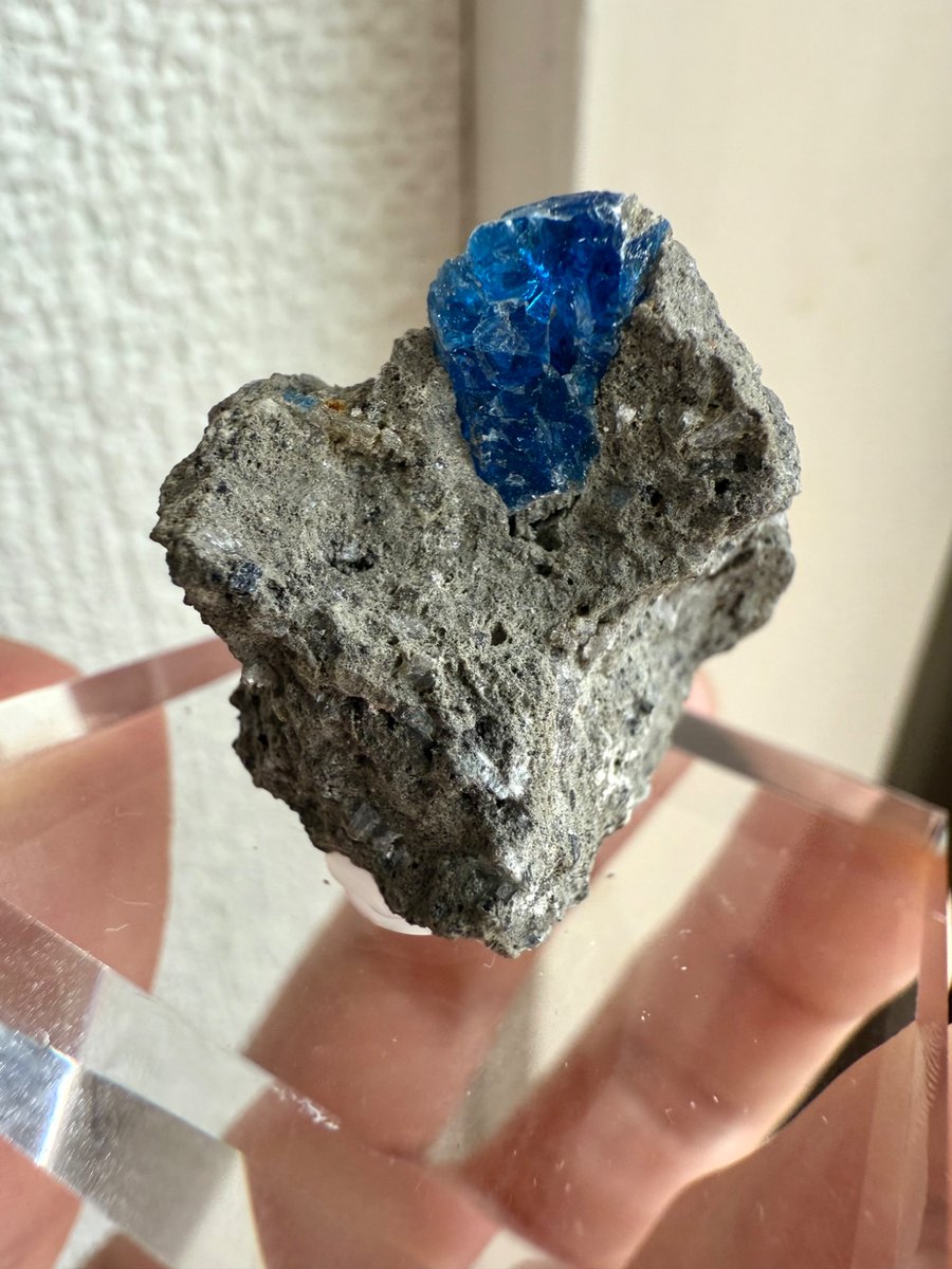 ドイツ産 アウイナイト

ビビットブルーの結晶が美しい母岩付きの標本。特に結晶が大きくて見応えは凄いですね！

あと、もう耐えられないくらい臭いんです！コンクリートの焼けた臭い的な…