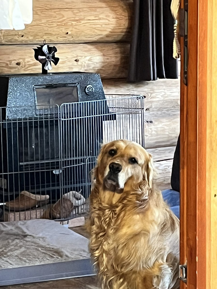 Pinot the Highlander tweet media