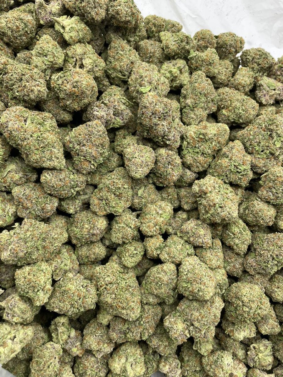 og_smoka's tweet image. Feeling sleepy already? Then try Cherry Lemonatti mixed lights 🍒 
Bomb indoor passable bag with high frost coverage and a little color! Sweet lemonatti nose mixed with cherry Dosi #420Community
#420Friendly
#CannabisCommunity
#StonerFam
#Mmemberville